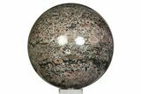 Colorful Fossil Crinoid Stems In Marble Sphere #351386-1